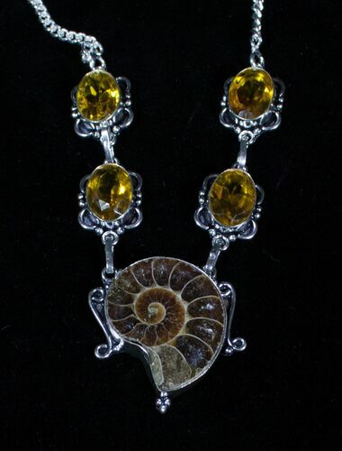 Fossil Ammonite Necklace #3372